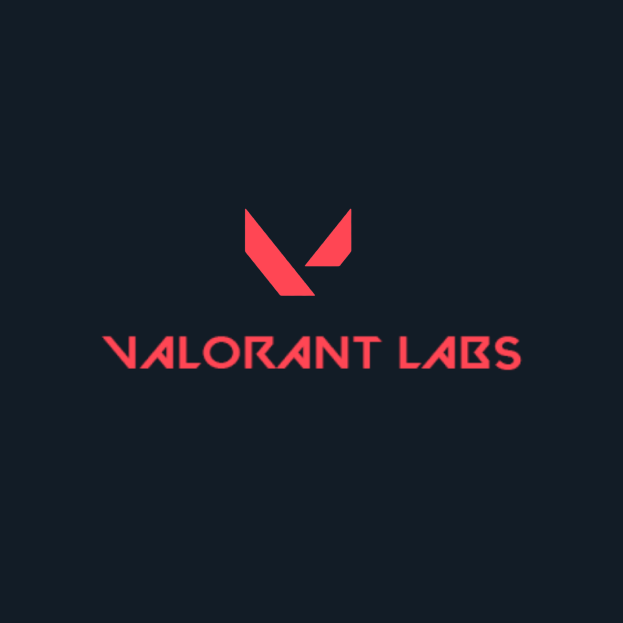 Valo Labs Picture